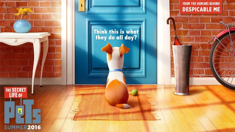 Movie Review: THE SECRET LIFE OF PETS